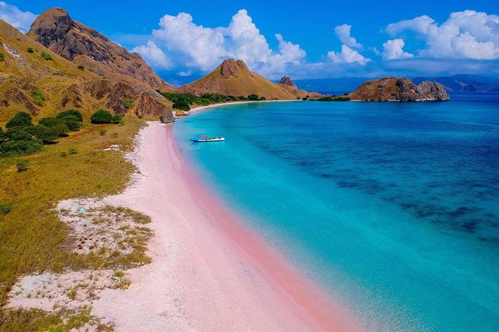 Open Trip Full Day Sailing Komodo